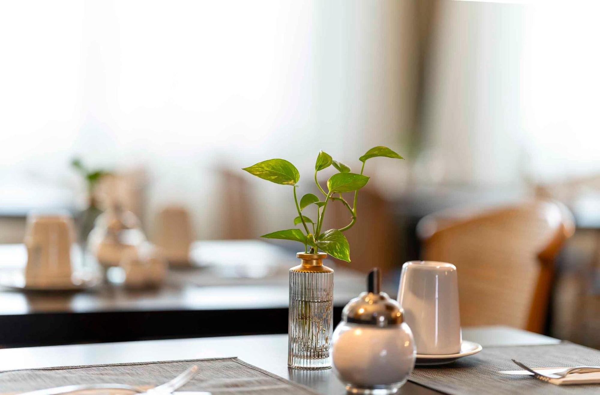Plaza Inn Blankenburg Ditzingen, Sure Hotel Collection ภายนอก รูปภาพ
