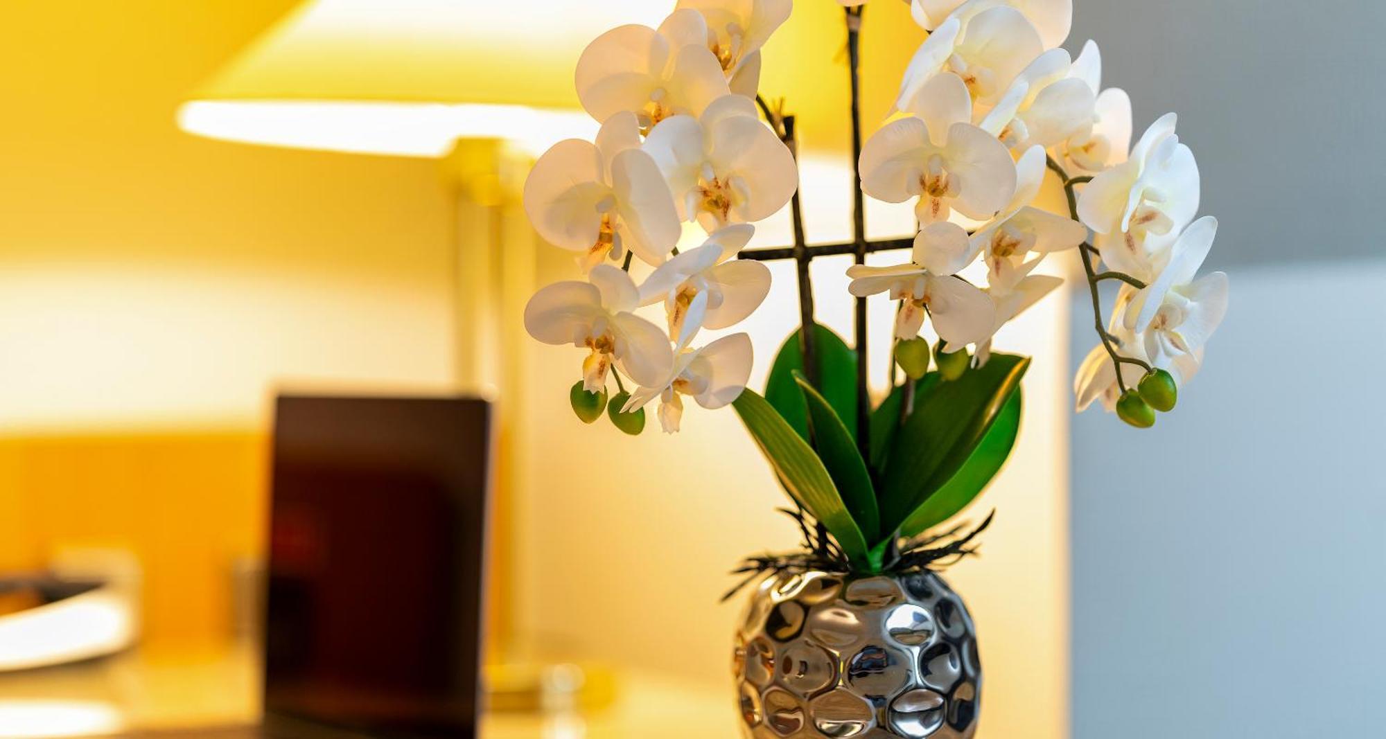 Plaza Inn Blankenburg Ditzingen, Sure Hotel Collection ภายนอก รูปภาพ
