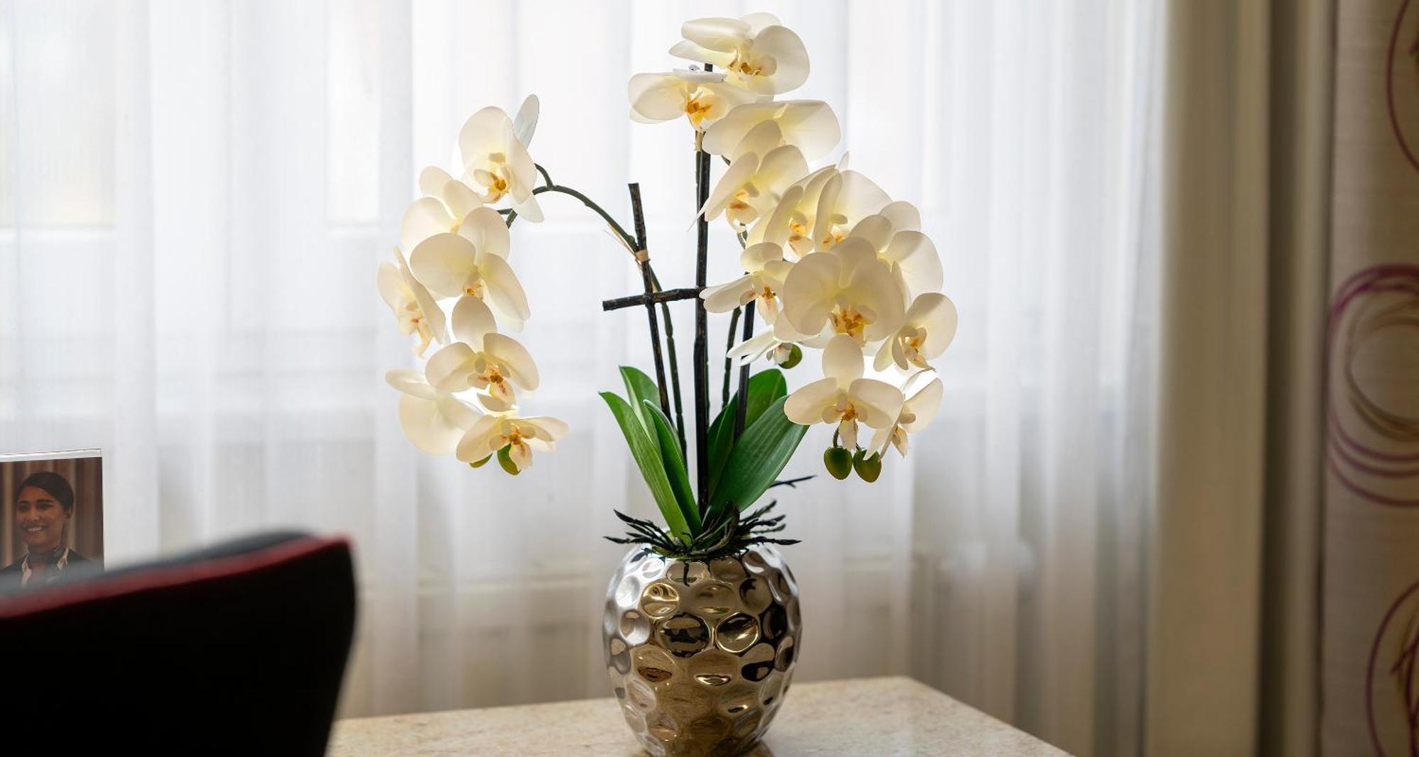 Plaza Inn Blankenburg Ditzingen, Sure Hotel Collection ภายนอก รูปภาพ